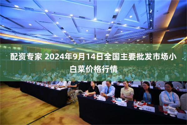 配资专家 2024年9月14日全国主要批发市场小白菜价格行情