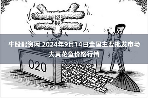 牛股配资网 2024年9月14日全国主要批发市场大黄花鱼价格行情