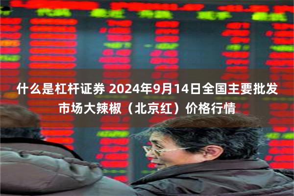 什么是杠杆证券 2024年9月14日全国主要批发市场大辣椒（北京红）价格行情