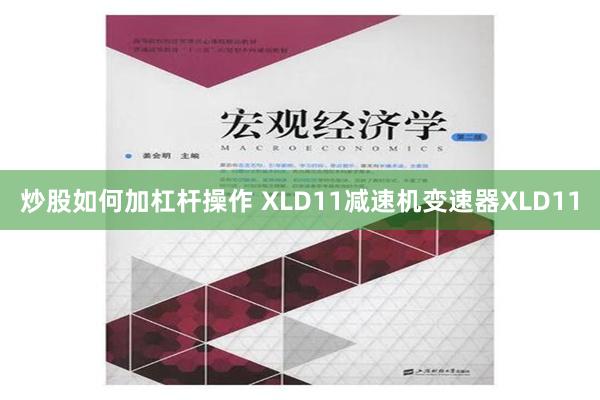 炒股如何加杠杆操作 XLD11减速机变速器XLD11