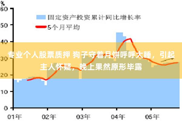 专业个人股票质押 狗子守着月饼呼呼大睡，引起主人怀疑，晚上果然原形毕露