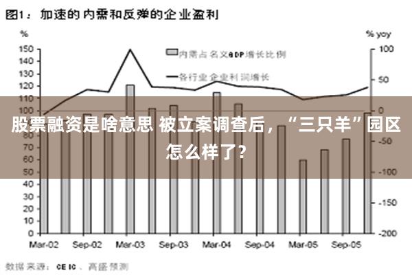 股票融资是啥意思 被立案调查后，“三只羊”园区怎么样了？