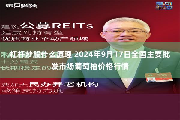 杠杆炒股什么原理 2024年9月17日全国主要批发市场葡萄柚价格行情