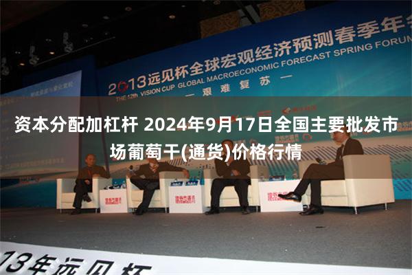 资本分配加杠杆 2024年9月17日全国主要批发市场葡萄干(通货)价格行情