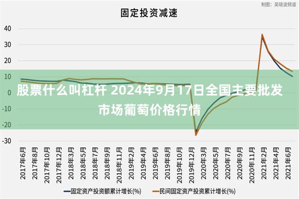 股票什么叫杠杆 2024年9月17日全国主要批发市场葡萄价格行情