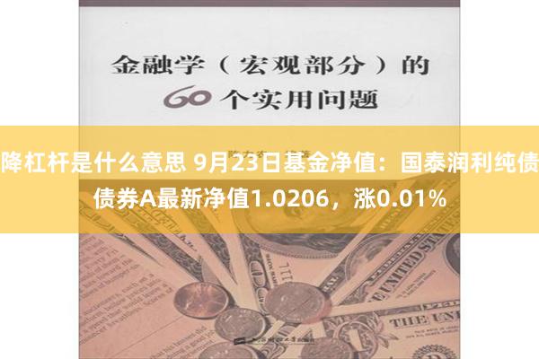 降杠杆是什么意思 9月23日基金净值：国泰润利纯债债券A最新净值1.0206，涨0.01%