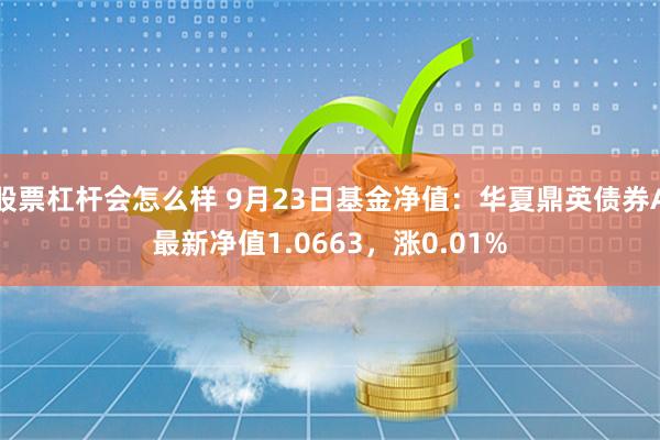 股票杠杆会怎么样 9月23日基金净值：华夏鼎英债券A最新净值1.0663，涨0.01%