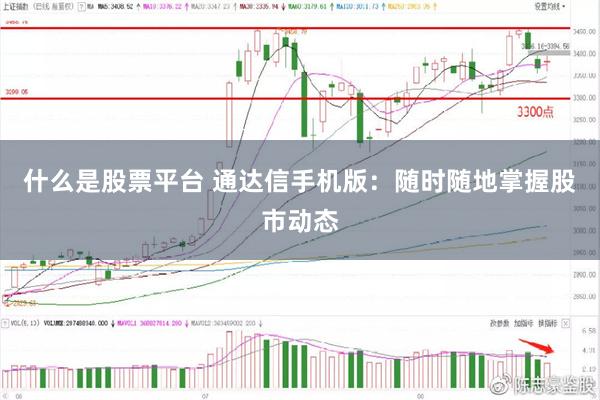 什么是股票平台 通达信手机版：随时随地掌握股市动态