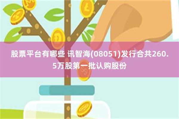 股票平台有哪些 讯智海(08051)发行合共260.5万股第一批认购股份